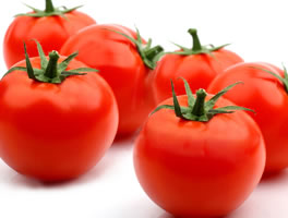 frische saftige rote Tomaten von Perlinger